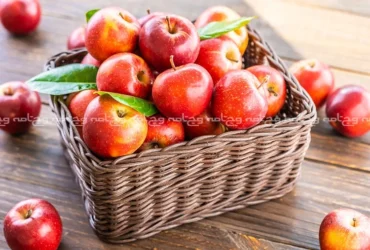 فواید فوق العاده سیب برای سلامتی