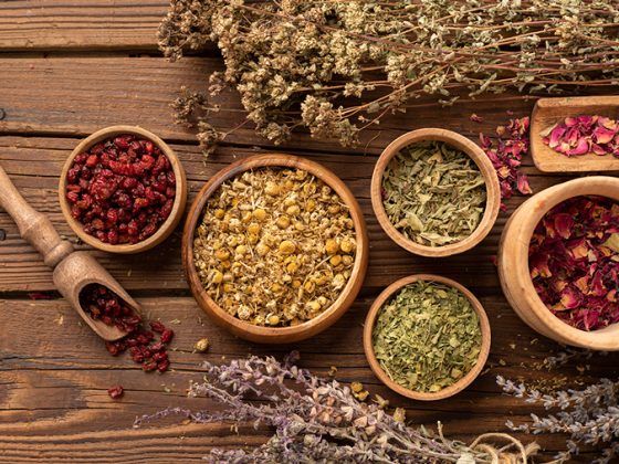 طب سنتی؛ راز سلامتی در گنجینه کهن درمان