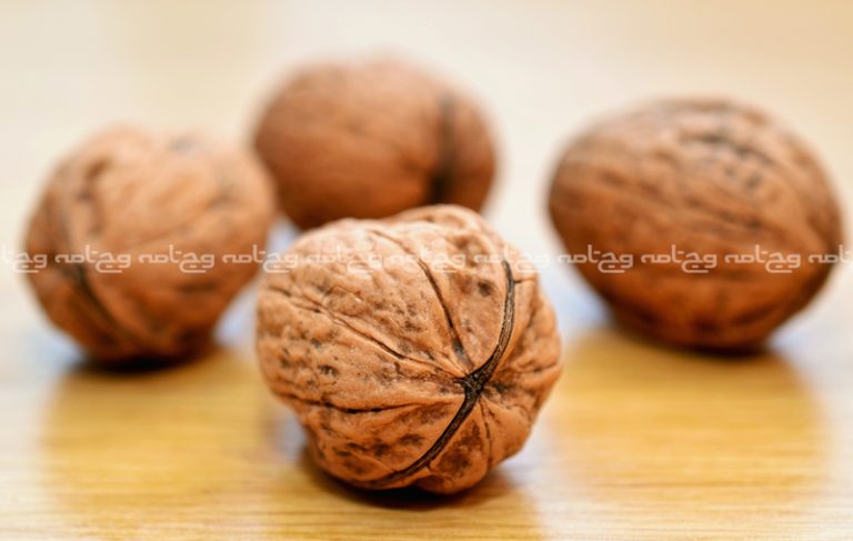 راهنمای کامل خواص گردو و فواید آن برای سلامتی