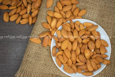 خواص بادام برای سلامتی | 9 دلیل برای اینکه بادام را به رژیم غذایی خود اضافه کنید