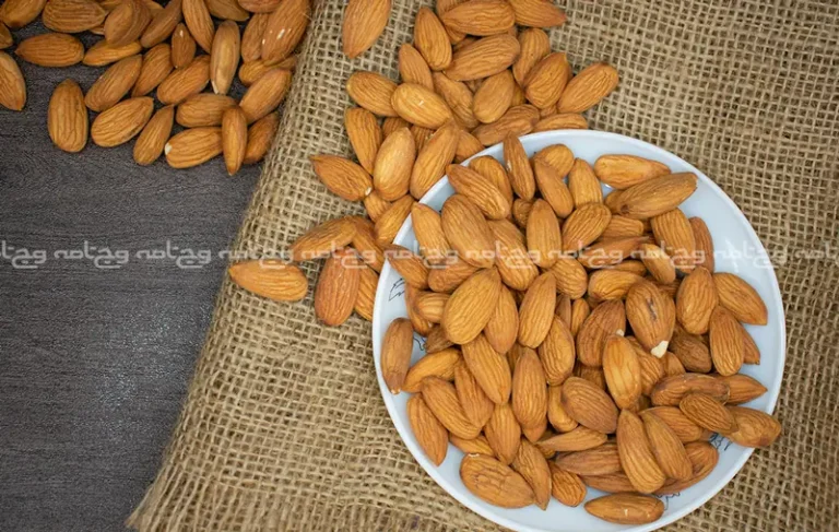 خواص بادام برای سلامتی | 9 دلیل برای اینکه بادام را به رژیم غذایی خود اضافه کنید