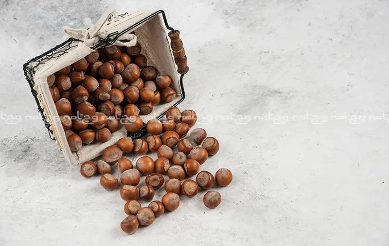 تاثیرات فندق بر سلامتی