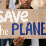 چرا تعداد گیاهخواران و وگان‌ها هر روز بیشتر می‌شود؟