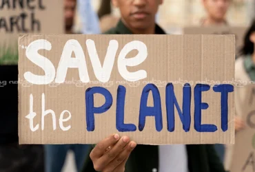 چرا تعداد گیاهخواران و وگانها هر روز بیشتر میشود؟