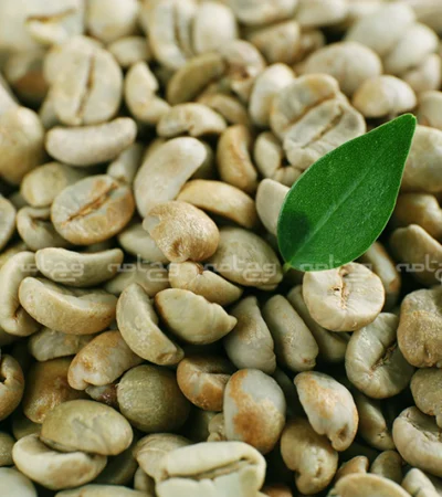 فواید قهوه سبز برای لاغری: راهنمای علمی و کاربردی