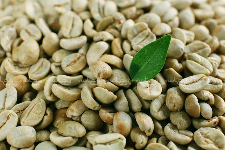 فواید قهوه سبز برای لاغری: راهنمای علمی و کاربردی