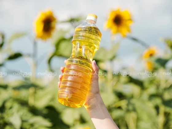 خواص و مضرات روغن آفتابگردان: از تقویت قلب تا عوارض جانبی