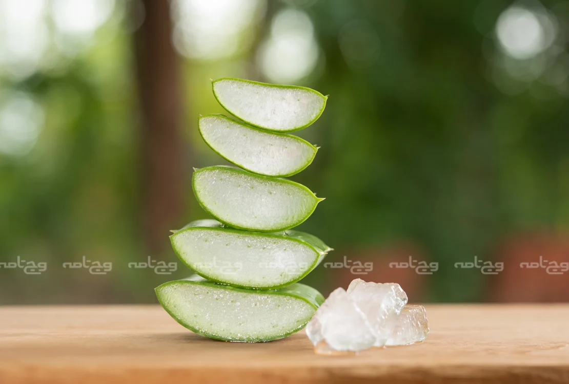 آلوئه ورا چیست؟ نحوه استفاده از آلوئه ورا