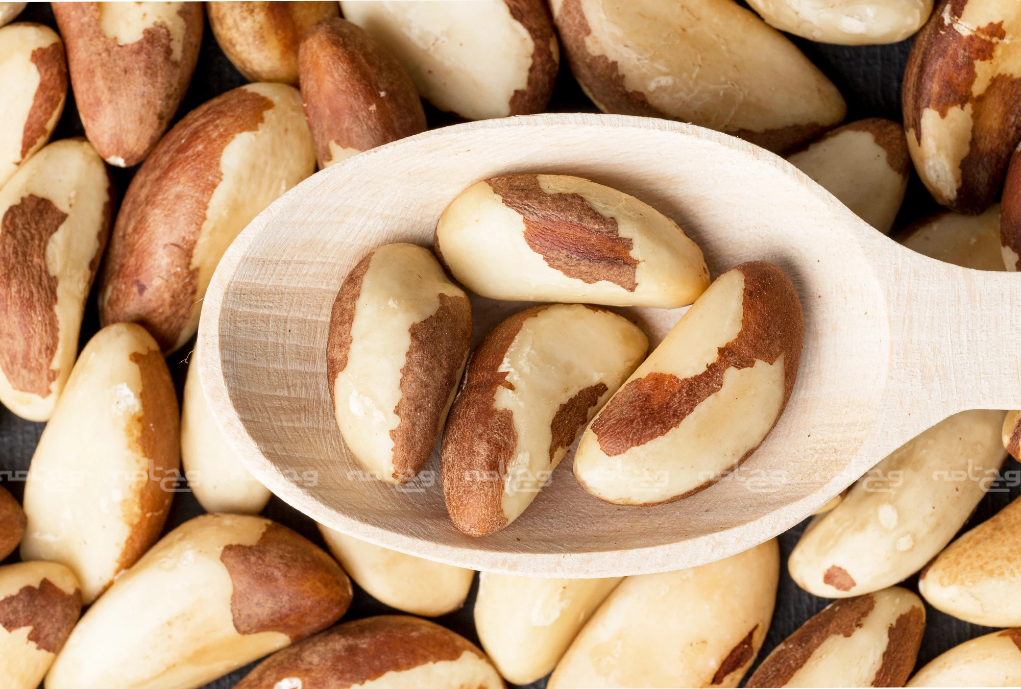 آجیل برزیلی: