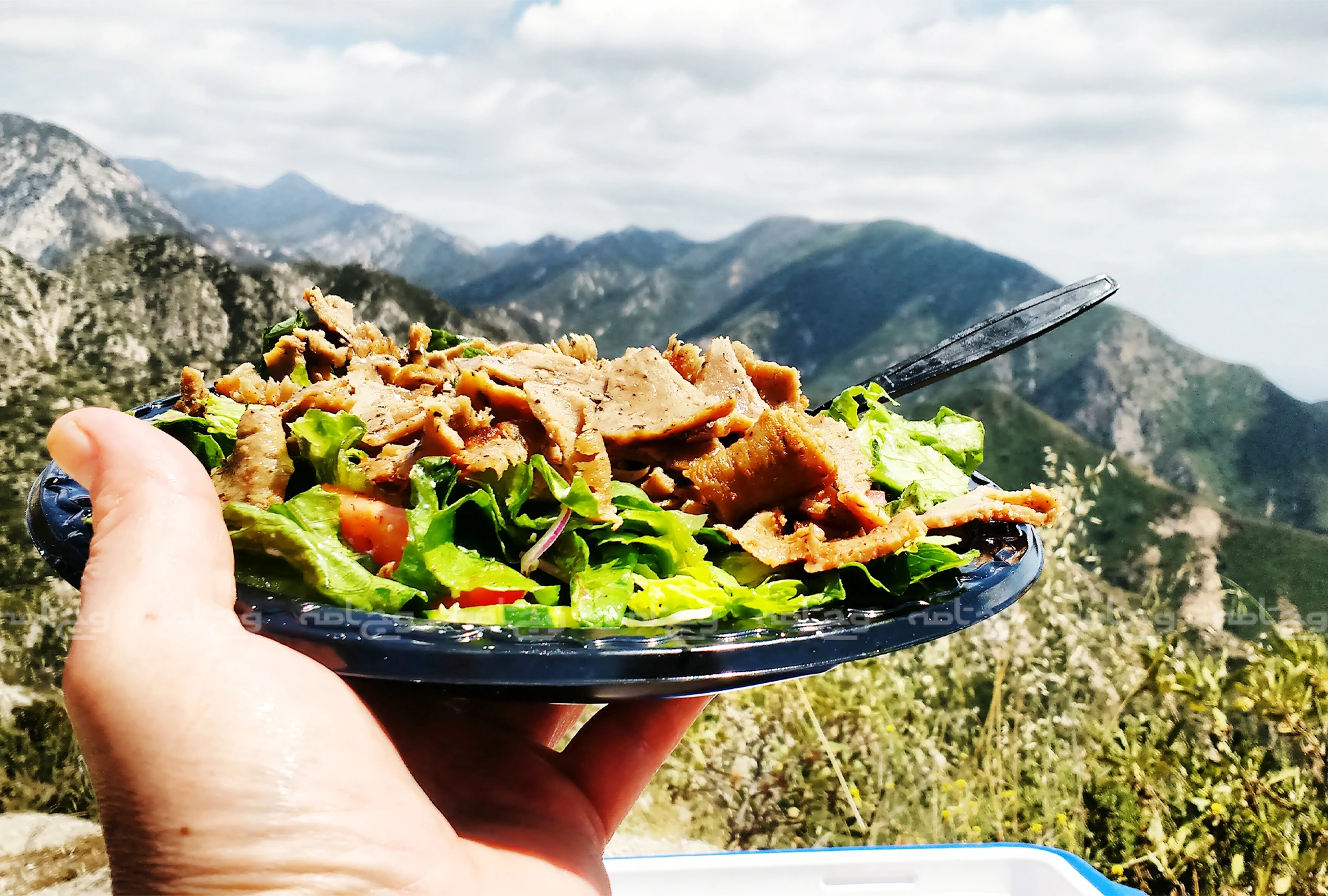 خوراکی‌های مناسب گیاه‌خواران برای سفر