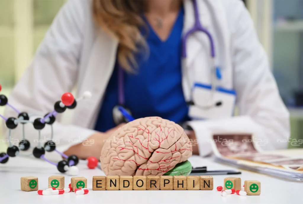 بیماری‌های عصبی و روانی شناخت کامل علائم، عوامل و مسیرهای درمان