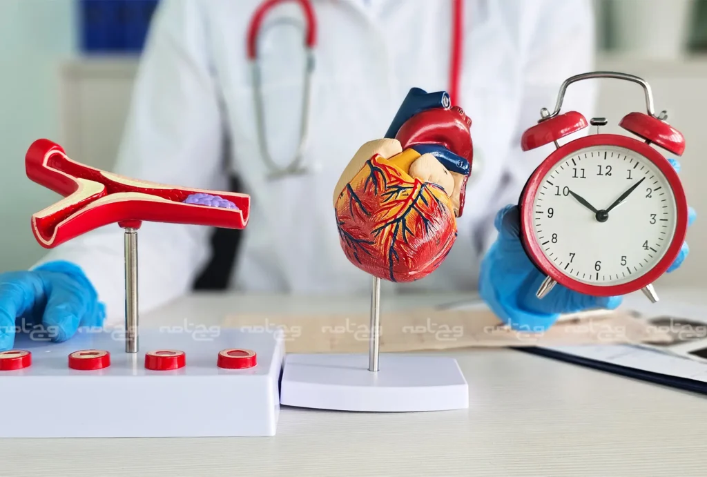 همه‌چیز درباره بیماری‌های قلبی و عروقی؛ از پیشگیری تا درمان