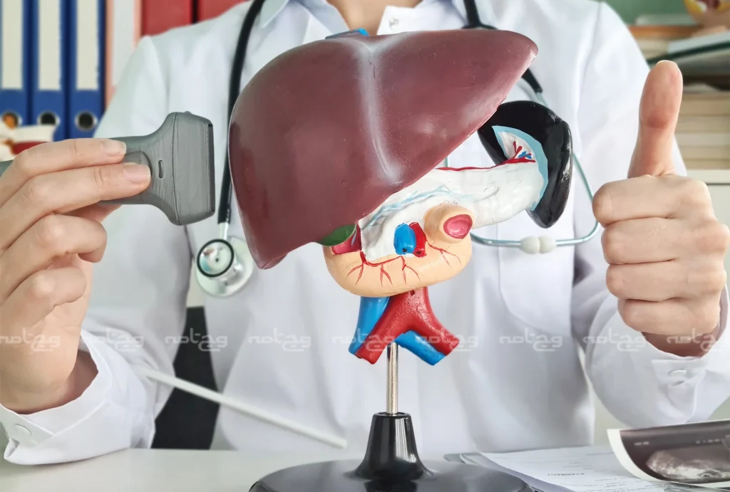 نکاتی برای زندگی با بیماری‌های کبدی یا گوارشی
