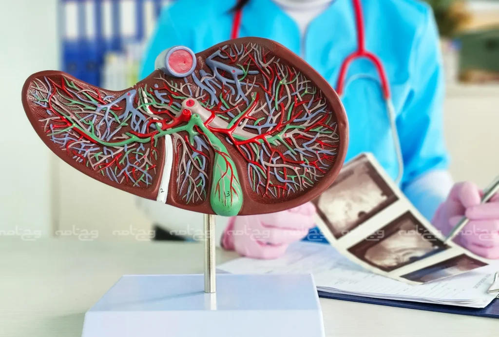 عوامل اصلی که باعث بیماری‌های کبدی و گوارشی می‌شوند