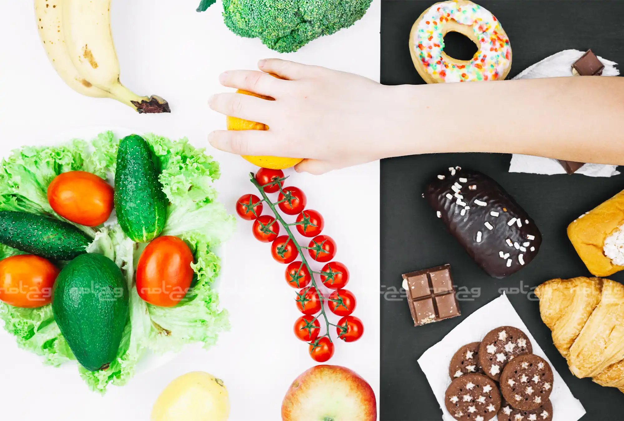 مواد مغذی کلیدی و نقش‌شان در بدن