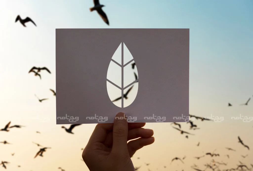 نگاهی به آینده فرهنگ و هنر پایدار